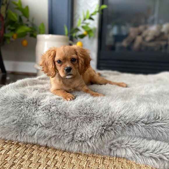 The Nines Drawstring Shorts Lavender Large NWT - Picture 5 of 5